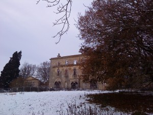 DSC00367